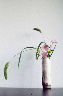 花有心 无码,探寻生命之美