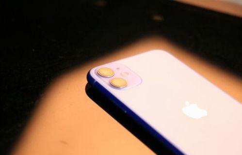 iPhone SEplus 最新爆料,性能升级，设计革新，价格揭晓！