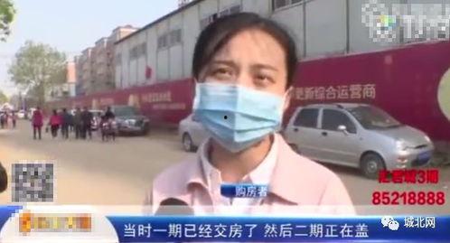 最新爆料石家庄新闻网,揭秘背后惊人真相